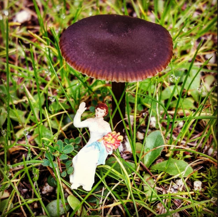 Lady with flowers sitting under a mushroom